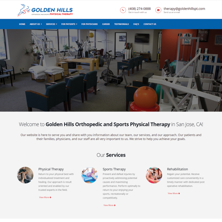 physiotherapy clinic WordPress website